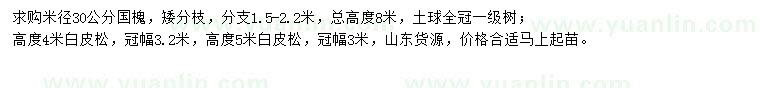 求購米徑30公分國槐、高度4、5米白皮松