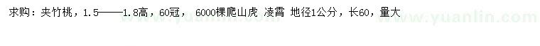 求購(gòu)?qiáng)A竹桃、爬山虎、凌霄