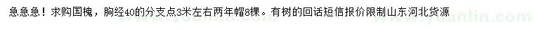求購(gòu)胸徑40公分國(guó)槐