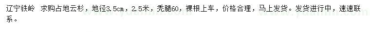 求購地徑3.5公分占地云杉