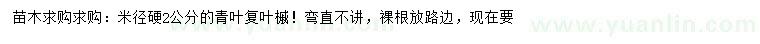 求購米徑硬2公分青葉復(fù)葉槭