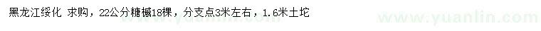 求購22公分糖槭