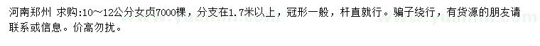 求購10-12公分女貞