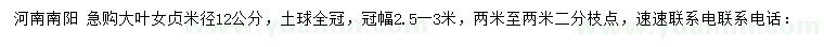 求購(gòu)米徑12公分大葉女貞