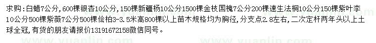 求購白蠟、銀杏、新疆楊等