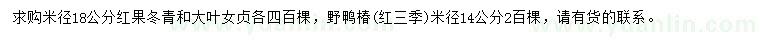 求購紅果冬青、大葉女貞、野鴨椿等