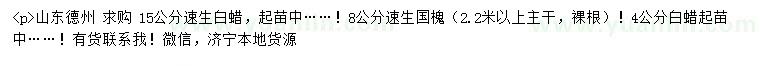 求購速生白蠟、速生國槐、白蠟