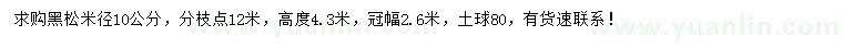 求購(gòu)米徑10公分黑松