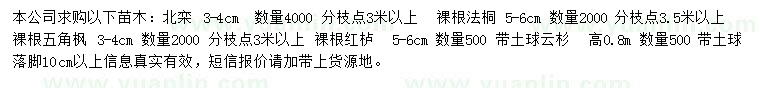 求購(gòu)北欒、法桐、五角楓等