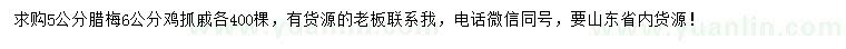 求購5公分臘梅、6公分雞抓戚