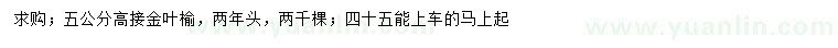 求購5公分高接金葉榆