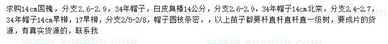 求購國槐、白皮臭椿、北欒等