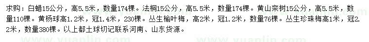 求購白蠟、法桐、黃山欒等