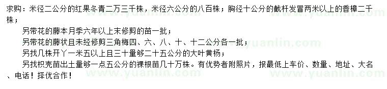 求購紅果冬青、藤本月季、三角梅等