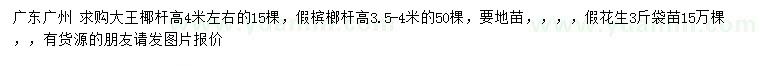 求購大王椰、假檳榔、假花生