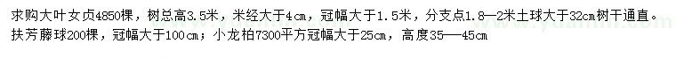 求購大葉女貞、扶芳藤、小龍柏