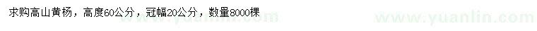 求購(gòu)高60公分高山黃楊