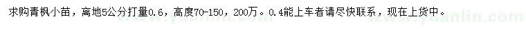 求購離地5公分打量0.6公分青楓小苗
