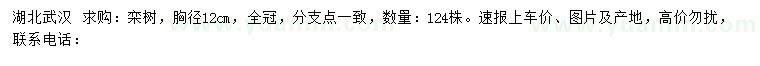 求購(gòu)胸徑12公分欒樹(shù)
