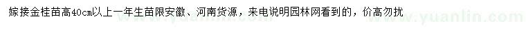 求購高40公分以上金桂苗