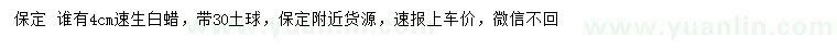 求購(gòu)4公分速生白蠟