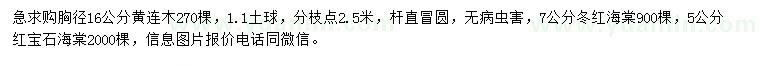 求購(gòu)黃連木、冬紅海棠、紅寶石海棠