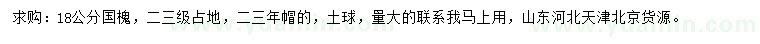 求購18公分國槐