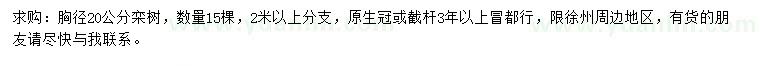 求購胸徑20公分欒樹