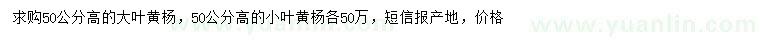求購高50公分大葉黃楊、小葉黃楊