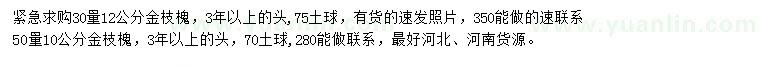 求購30量12公分金枝槐、50量10公分金枝槐