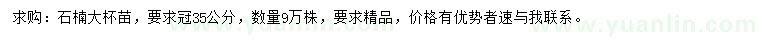 求購冠35公分石楠大杯苗