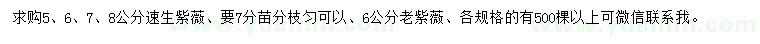 求購5、6、7、8公分速生紫薇、6公分老紫薇