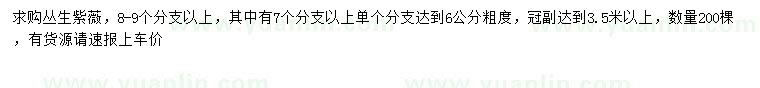 求購(gòu)叢生紫薇