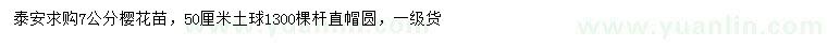 求購7公分櫻花苗