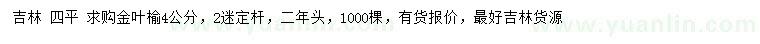 求購4公分金葉榆