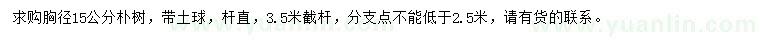 求購胸徑15公分樸樹