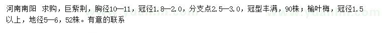 求購(gòu)胸徑10-11公分巨紫荊、5-6公分榆葉梅