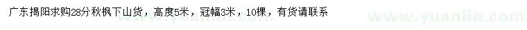 求購28公分秋楓