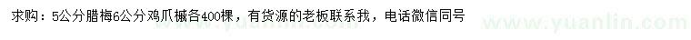 求購5公分臘梅、6公分雞爪槭