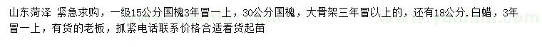 求購(gòu)15、30公分國(guó)槐、18公分白蠟