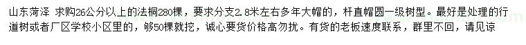 求購26公分以上法桐