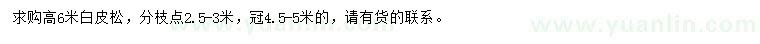 求購高6米白皮松