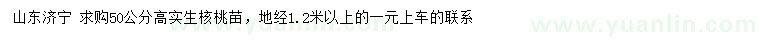 求購地徑1.2米以上實生核桃苗