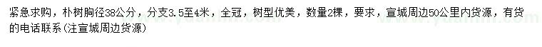 求購胸徑38公分樸樹