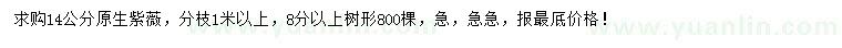 求購(gòu)14公分原生紫薇