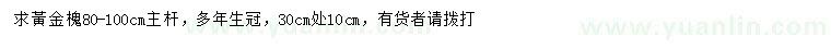 求購30公分處量10公分黃金槐