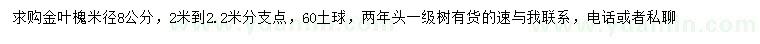 求購米徑8公分金葉槐