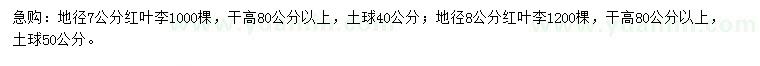 求購地徑7、8公分紅葉李