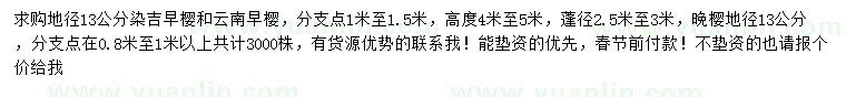 求購染吉早櫻、云南早櫻、晚櫻