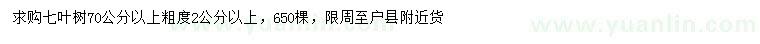 求購70公分以上七葉樹